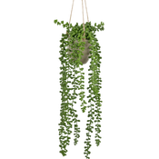 Artificial Hanging Plants