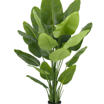 Artificial Strelitzia
