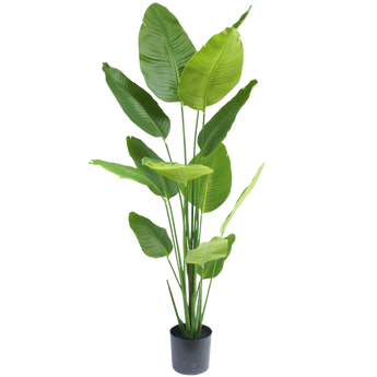 Artificial Plants