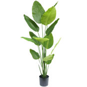 Artificial Plants