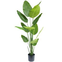 Artificial Plants