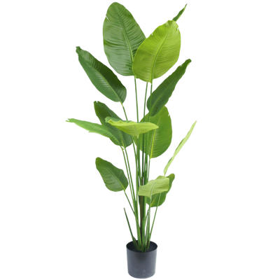 Artificial Plants