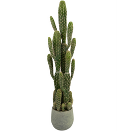 Artificial Cactus
