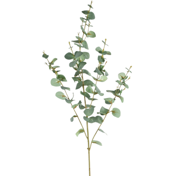 Artificial Eucalyptus