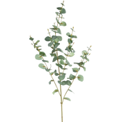 Artificial Eucalyptus