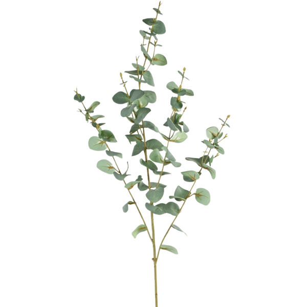 Artificial Eucalyptus