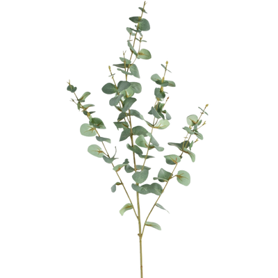 Artificial Eucalyptus