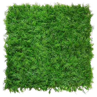 Artificial hedge Fern