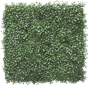 Artificial hedge Buxus