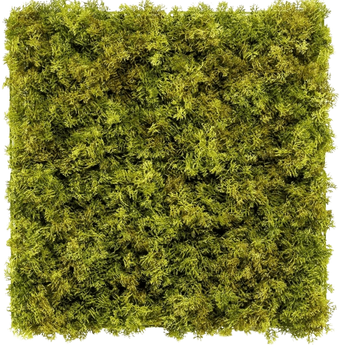 Artificial hedge Moss