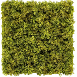 Artificial hedge Moss