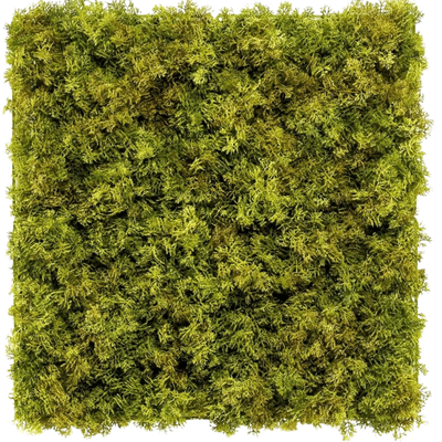 Artificial hedge Moss