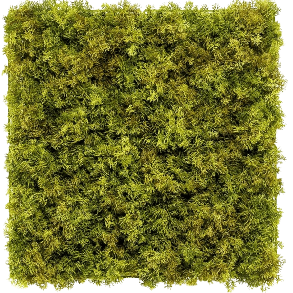Artificial hedge Moss