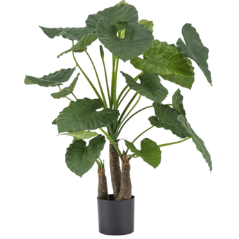 Artificial Alocasia