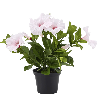 Potted Artificial Flowers