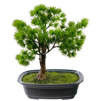 Artificial Bonsai Tree