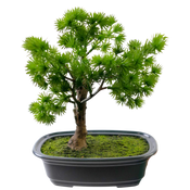 Artificial Bonsai Tree