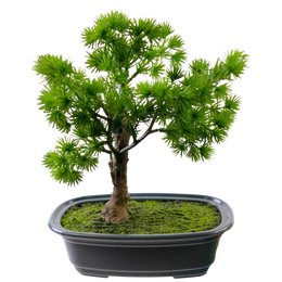 Artificial Bonsai Tree