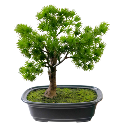 Artificial Bonsai Tree