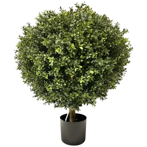 Artificial Boxwood & Conifer