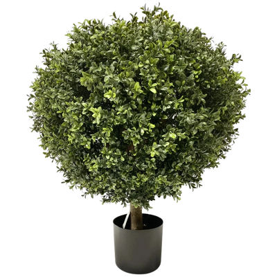 Artificial Boxwood & Conifer