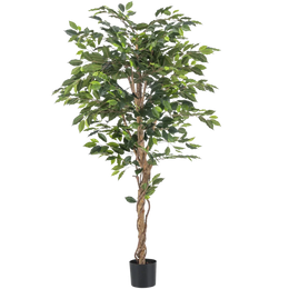 Artificial Ficus Tree