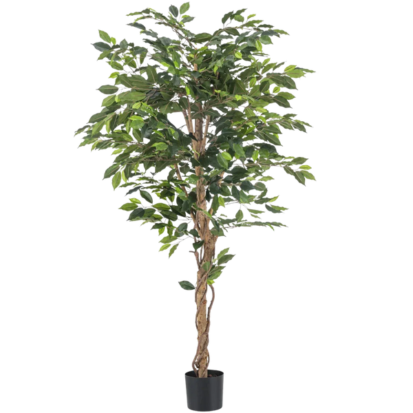 Artificial Ficus Tree