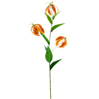 Artificial Gloriosa