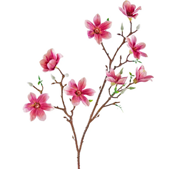 Artificial Magnolia