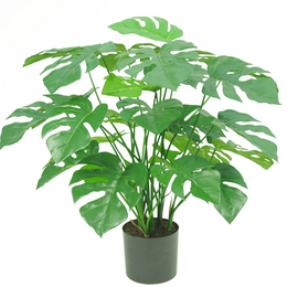 Artificial Monstera Plant
