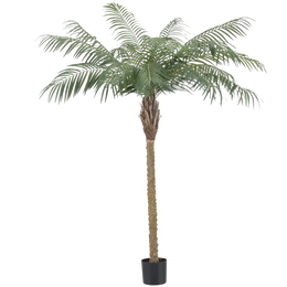 Artificial Palm Trees