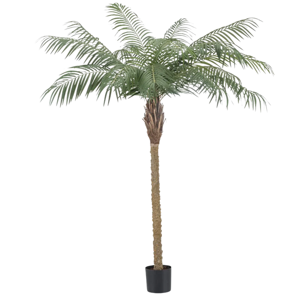 Artificial Palm