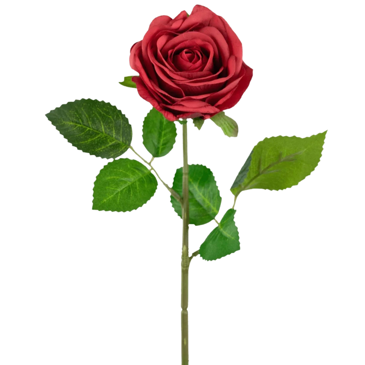 rooscategorie_27e60ba9-9527-4b10-8f54-6a9a15a5be67.webp?v=1758703635