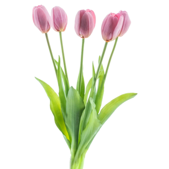 Artificial Tulips