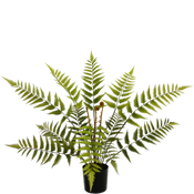 Artificial Fern