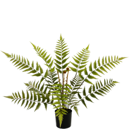 Artificial Fern