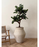 Artificial plant ficus crazy 120 cm - Easyplants Artificial Plants & Flowers