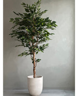 Artificial plant ficus green 180 cm - Easyplants Artificial Plants & Flowers