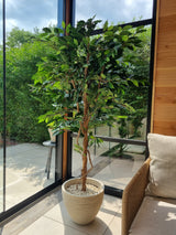 Artificial plant ficus green 180 cm - Easyplants Artificial Plants & Flowers