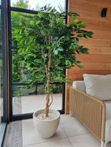 Artificial plant ficus green 180 cm - Easyplants Artificial Plants & Flowers