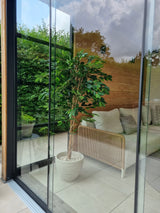 Artificial plant ficus green 180 cm - Easyplants Artificial Plants & Flowers