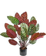 Artificial Plant Calathea Makoyana 60 cm Red - Easyplants Artificial Plants & Flowers