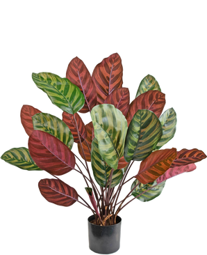 Artificial Plant Calathea Makoyana 60 cm Red - Easyplants Artificial Plants & Flowers