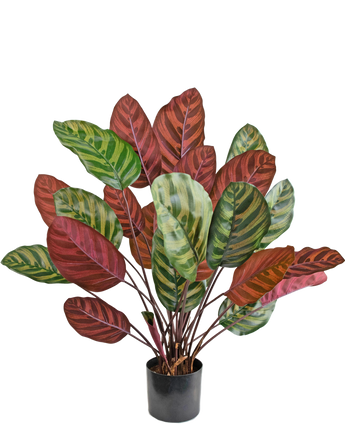 Artificial Plant Calathea Makoyana 60 cm Red - Easyplants Artificial Plants & Flowers