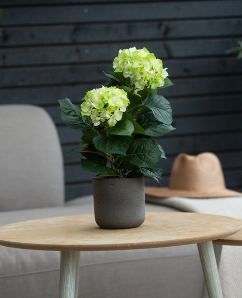 The Artificial Hydrangea Green UV 35 cm with light green flowers stands on a round wooden table. Behind it are a gray chair with cushions and a beige hat on a light blanket.