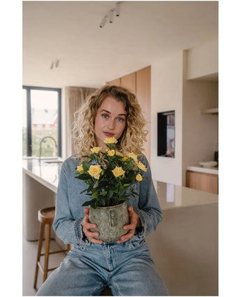 A woman with curly blonde hair, dressed in denim clothes, sits in a modern kitchen with the Artificial Plant Mini Rose UV 35 cm yellow in her hands and looks straight into the camera.
