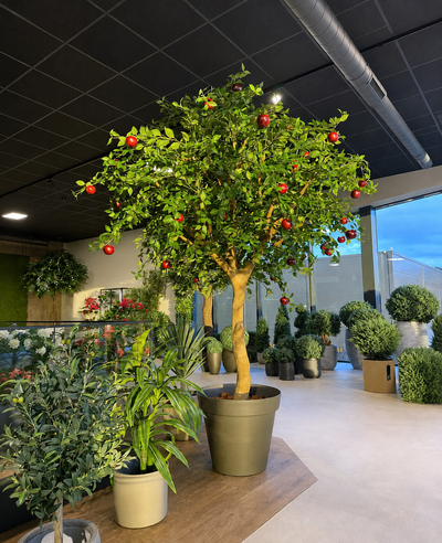 Kunstappelboom van 240 cm met levensechte rode appels in een bruine pot, omringd door diverse groene potplanten in een moderne, goed verlichte showroom met glazen deuren en ramen. Dit indrukwekkende kunstboom-interieurstuk geeft elke ruimte een levendige, natuurlijke uitstraling.