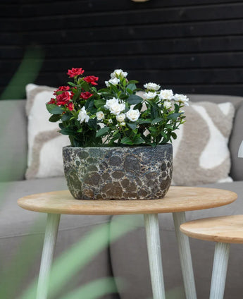 An Artificial Plant Patio Rose 35 cm cream UV stands on a round wooden table in front of a beige sofa with patterned cushions.