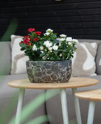 An Artificial Plant Patio Rose 35 cm cream UV stands on a round wooden table in front of a beige sofa with patterned cushions.