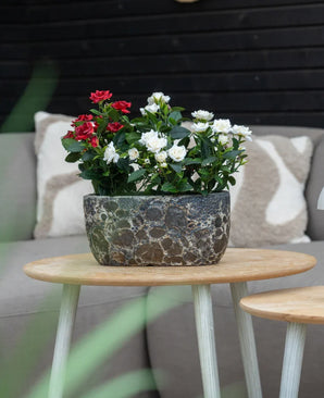 An Artificial Plant Patio Rose 35 cm cream UV stands on a round wooden table in front of a beige sofa with patterned cushions.